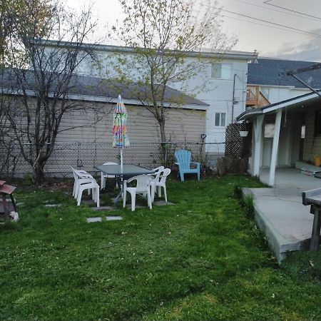 Cozy Downtown One Bedroom Free Parking 金斯顿 外观 照片