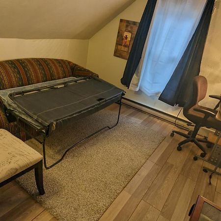 Cozy Downtown One Bedroom Free Parking 金斯顿 外观 照片
