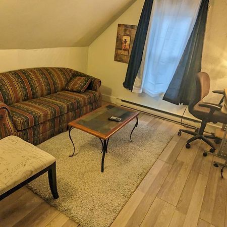 Cozy Downtown One Bedroom Free Parking 金斯顿 外观 照片