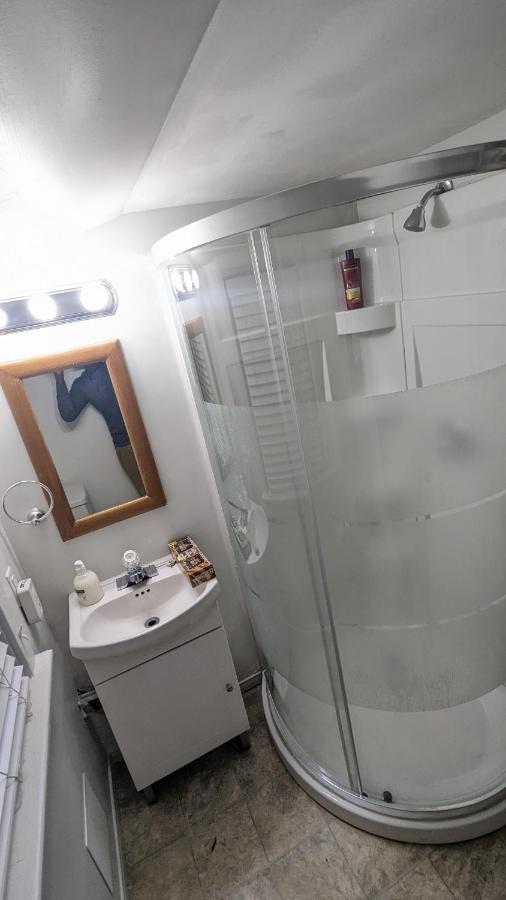 Cozy Downtown One Bedroom Free Parking 金斯顿 外观 照片