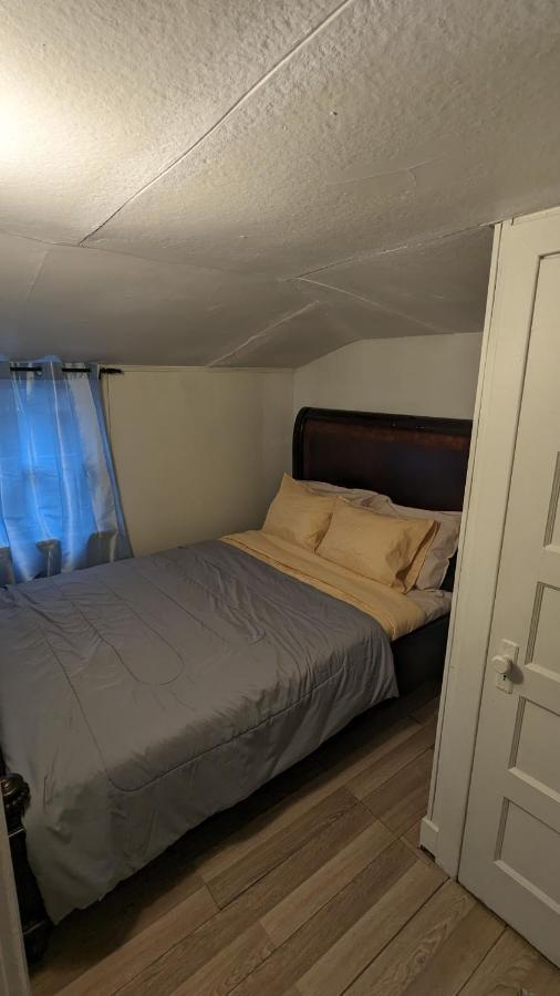 Cozy Downtown One Bedroom Free Parking 金斯顿 外观 照片